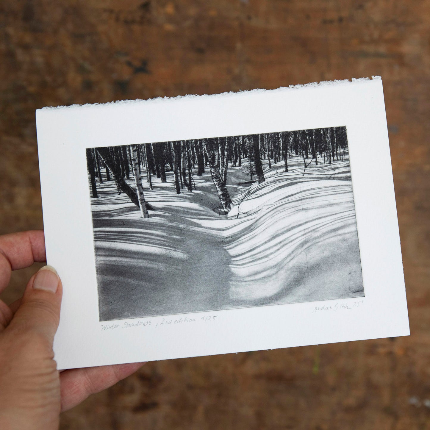 Winter Shadows, Original Polymer Etching
