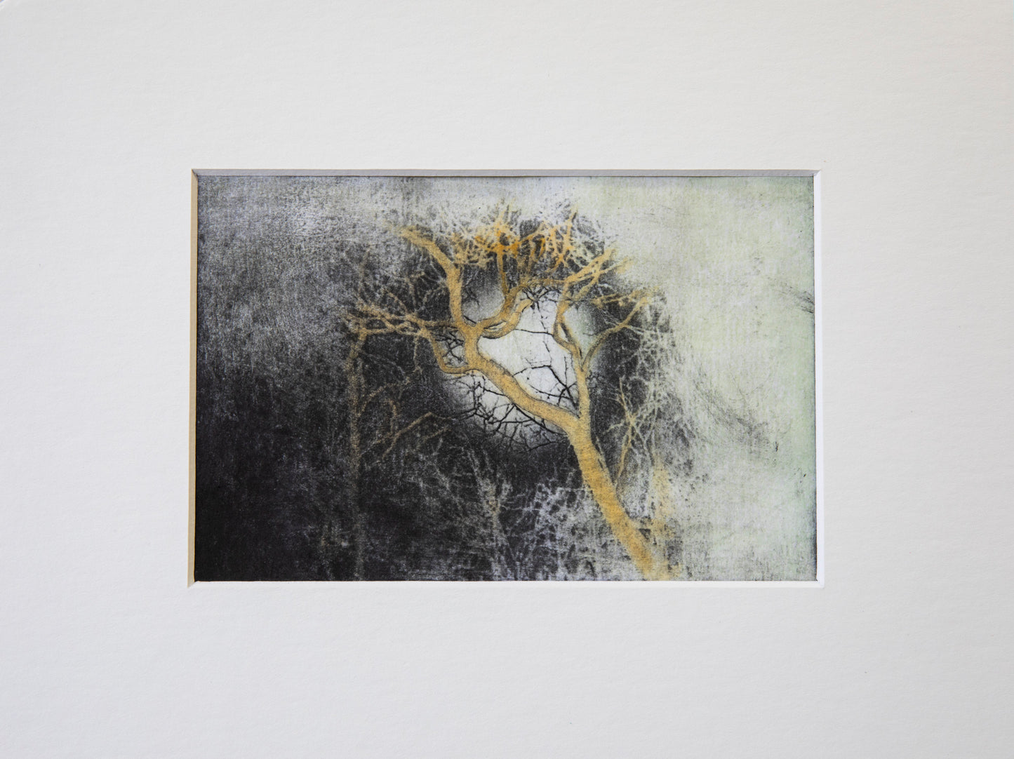 Full Moon Nights, original Etching