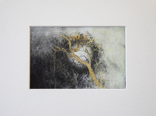 Full Moon Nights, original Etching