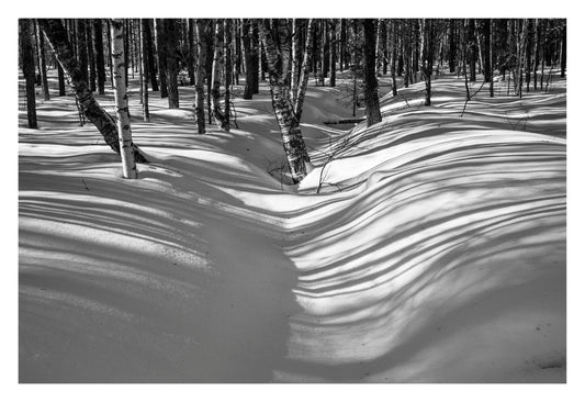 Winter Shadows, Fine Art Print